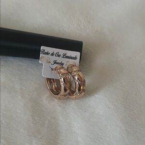 Elegant  Hoop Earrings